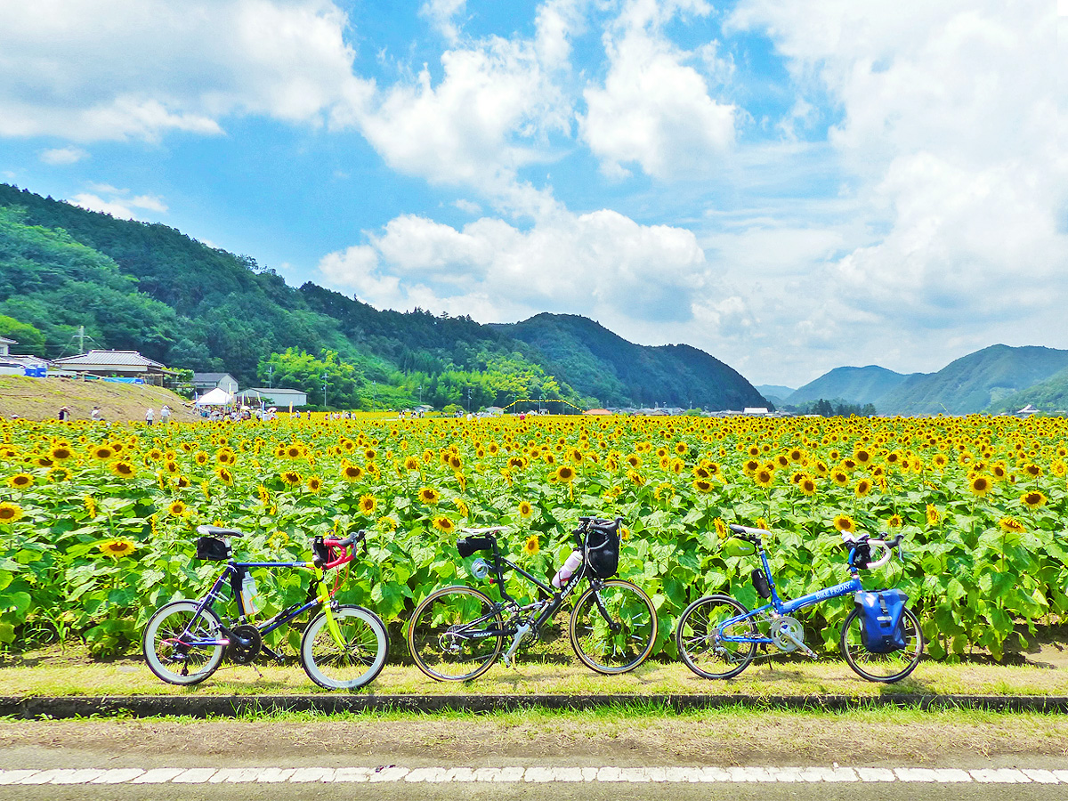 兵庫県・佐用町の「ひまわり畑」の風景。手前には3台のミニベロ（自転車・小径車）が並べて置かれている。