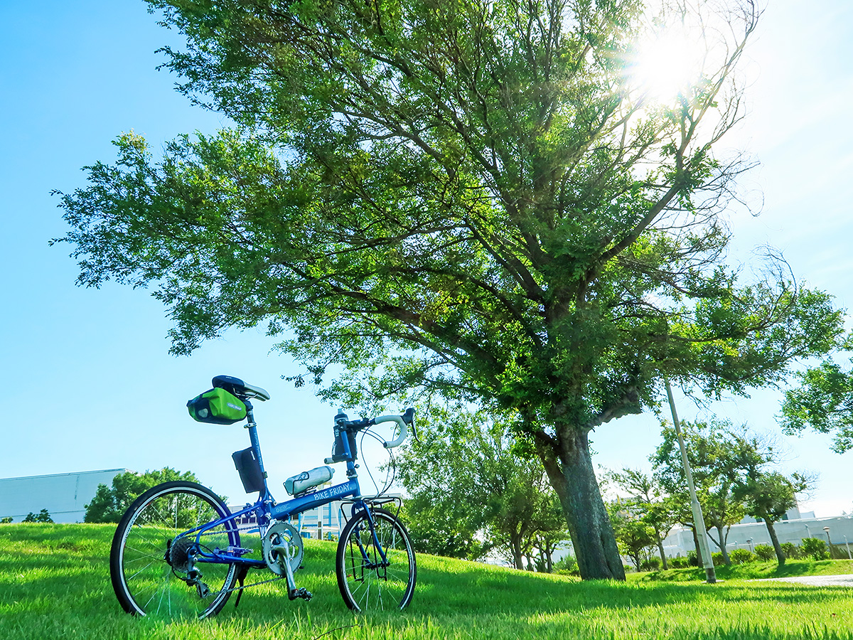 自転車のライトの明るさはどのくらいあればいいのか？何ルーメン必要か 