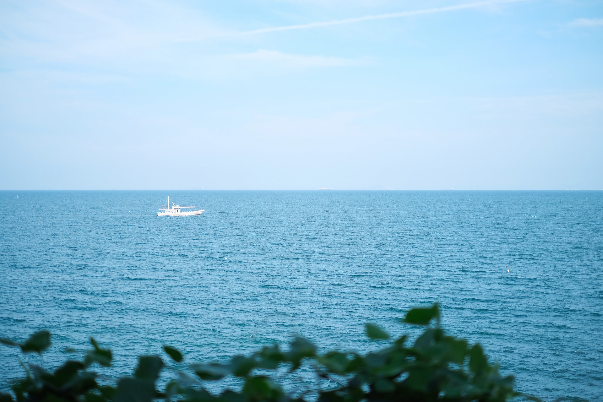 青い海に、1隻の白い漁船が見える風景。手前には、つる植物の葉が茂っている。