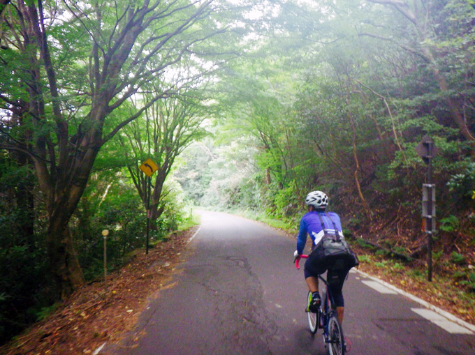 「水ヶ浜」付近の道路を自転車で走る友人の姿を捉えた写真。周囲には木々が生い茂り、「緑のトンネル」のようになっている。