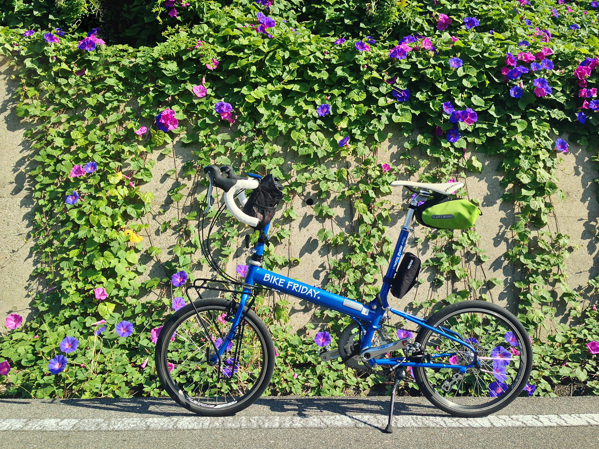 たくさんの朝顔の花が咲く播磨サイクリングロードの道沿いに、バイクフライデー・ニューワールドツーリストを停めた写真