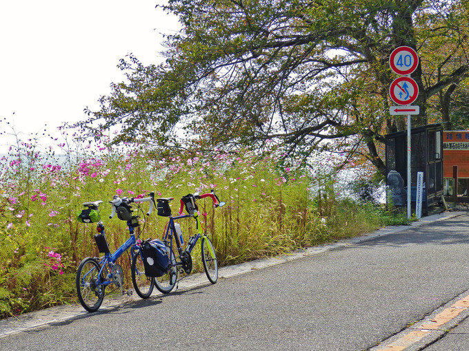 琵琶湖の北部「海津大崎」付近から見た風景の写真。道路脇にピンク色のコスモスの花が咲いていて、そのむこうに琵琶湖の青い水面が見える。手前には筆者の自転車バイクフライデーの「ニューワールドツーリスト」と、友人の自転車「コメットR」が停められている。