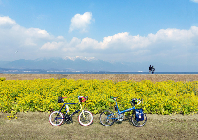 滋賀県守山市の第一なぎさ公園に、早咲きの菜の花「カンザキハナナ」が咲いていて、遠くには冠雪した比良山系の山々が見える。景色は鮮やかな黄色と水色に染まっている。手前には2台の自転車、「ニューワールドツーリスト」と「コメットR」が停められている。