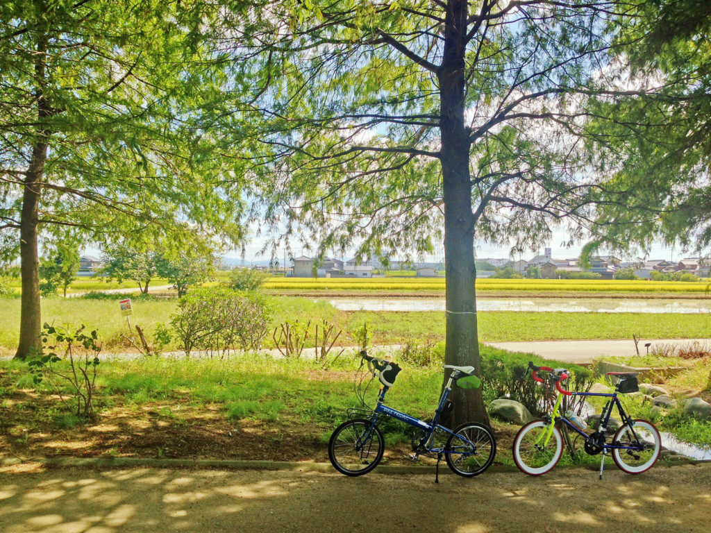 兵庫県加古郡稲美町の「天満大池公園」内の写真。立ち並ぶ木々の木陰に2台の自転車が停められている。
