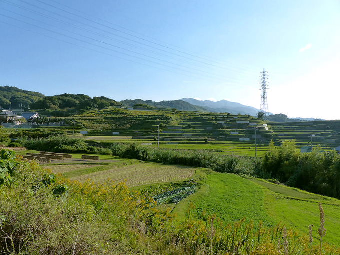 棚田がある風景の写真。