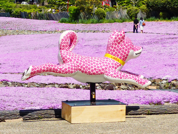 芝桜の名前に掛けて、柴犬を花柄にしたオブジェが置かれている写真。