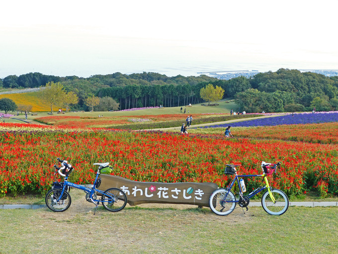 「あわじ花さじき」の花畑の写真。「花さじき」と書かれた看板の前に2台の自転車、バイクフライデーの折り畳みミニベロ「ニューワールドツーリスト」とミニベロロード「コメットR」が停められている。辺りにはたくさんの花が咲いている。